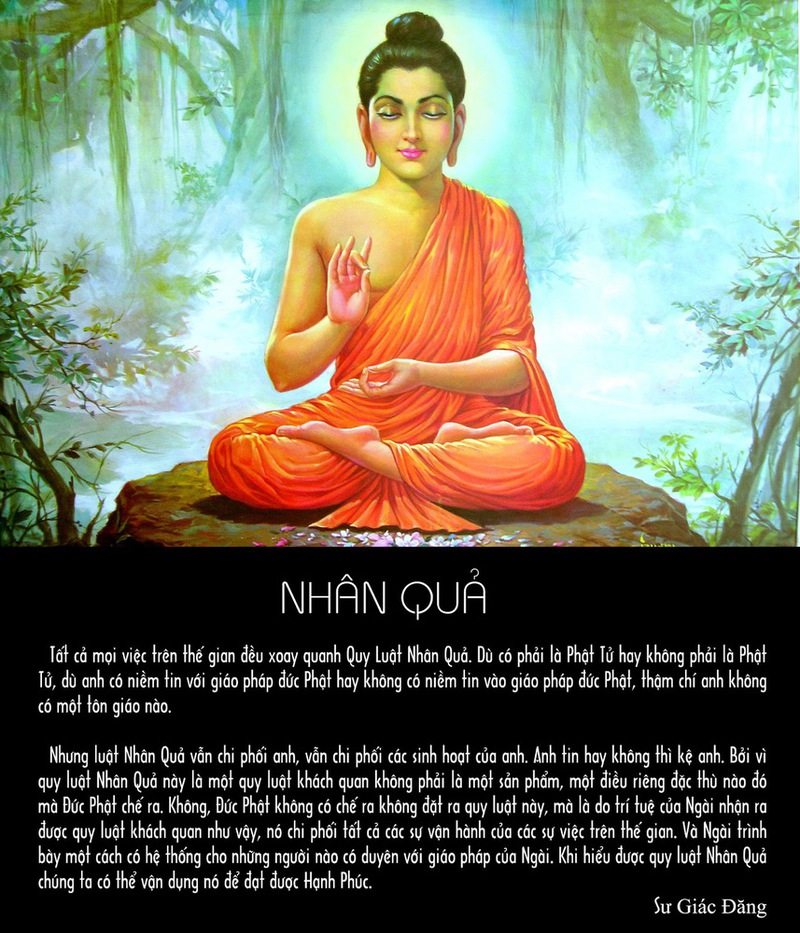 Quan Điểm Của Phật Giáo Về Quy Luật Nhân Quả - Hành Trình Tâm Linh