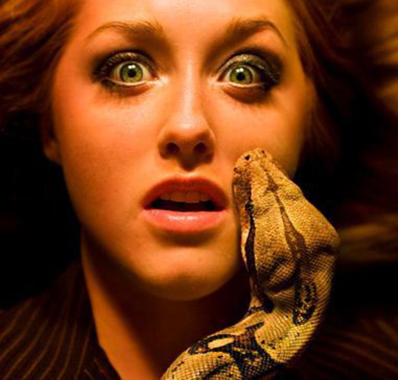 Люди боящиеся змей. Офидиофобия — страх змей. Испуганная змея.