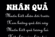 Nhân quả